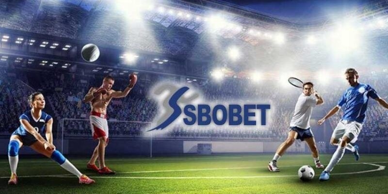 sbobet-vin777-avt